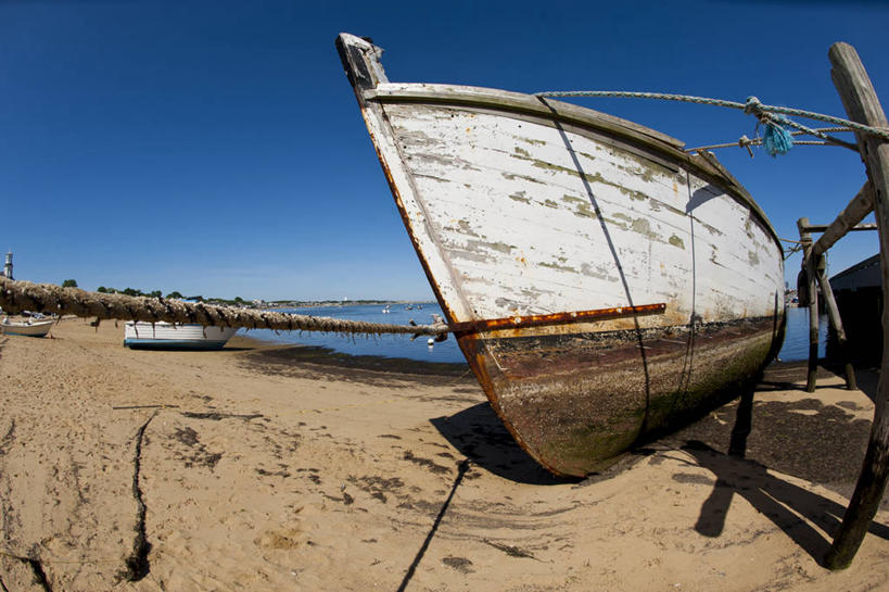 无人,横图,室外,白天,渔业,海洋,美国,废弃,停靠,木制,沙子,渔船,绳子,运输,摄影,报废,宁静,废物,北美,北美洲,停泊,美洲,丢弃,放弃,抛弃,万里无云,马萨诸塞州,麻州,麻省,马萨诸塞,麻塞诸塞,老殖民地,海湾之州,北亚美利加洲,亚美利加洲,摈弃,科德角,海滩,彩图,屏弃,美利坚合众国,摈斥,摒除,鳕鱼角