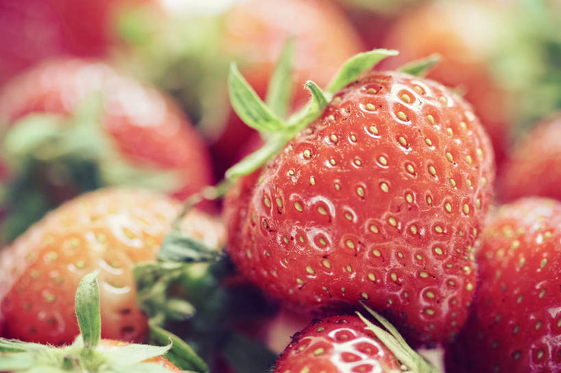 无人,横图,室内,微距,草莓,水果,叶子,荷兰,许多,很多,饮食,摄影,清新,健康食物,奈梅亨,彩图,海尔德兰