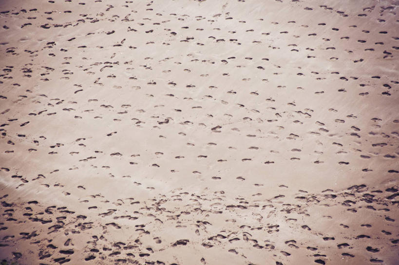 无人,横图,室外,白天,背景,英国,脚印,丰富,沙子,方向,摄影,威尔士,迷惑,海滩,彩图,全画面,全框架,全帧,全画幅