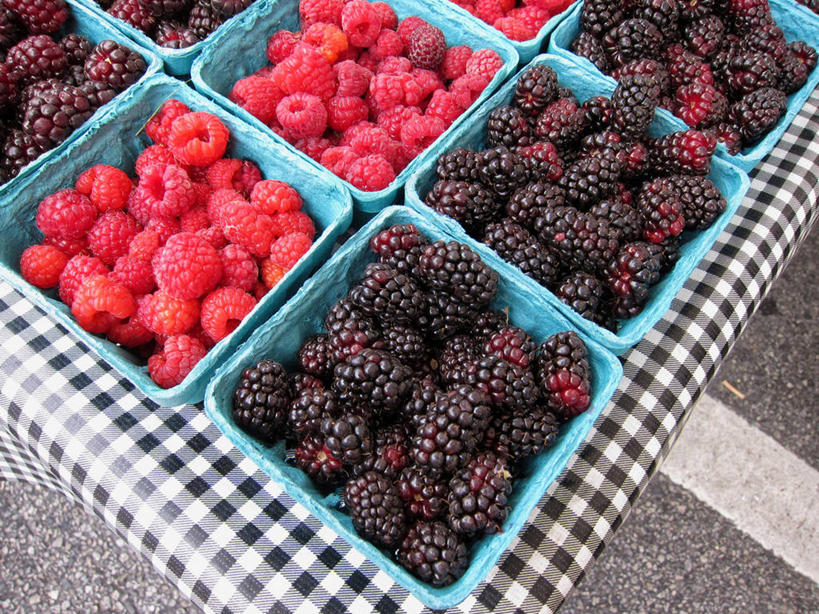 无人,横图,室外,白天,购物,消费,水果,美国,一排,整齐,篮子,集市,市场,饮食,桌布,排列,覆盆子,零售,金融,摄影,部分,队列,清新,加利福尼亚,选购,贸易,健康食物,圣莫尼卡,黑刺莓,彩图