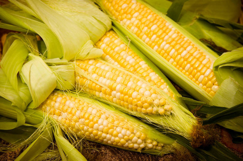无人,横图,特写,玉米,蔬菜,加拿大,生食,美味,饮食,四个,摄影,清新,健康食物,彩图,甜玉米