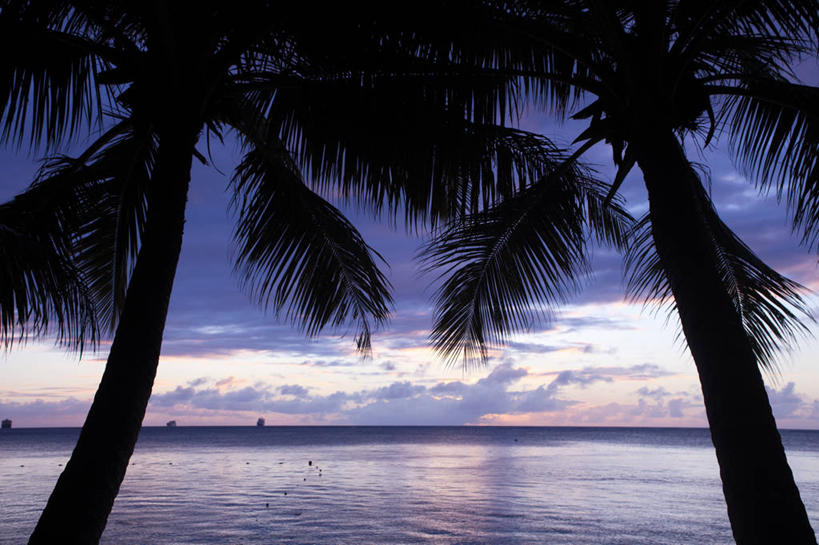 无人,横图,室外,海洋,日落,棕榈树,反射,水平线,树,紫色,风景,自然,摄影,宁静,塞班岛,彩图