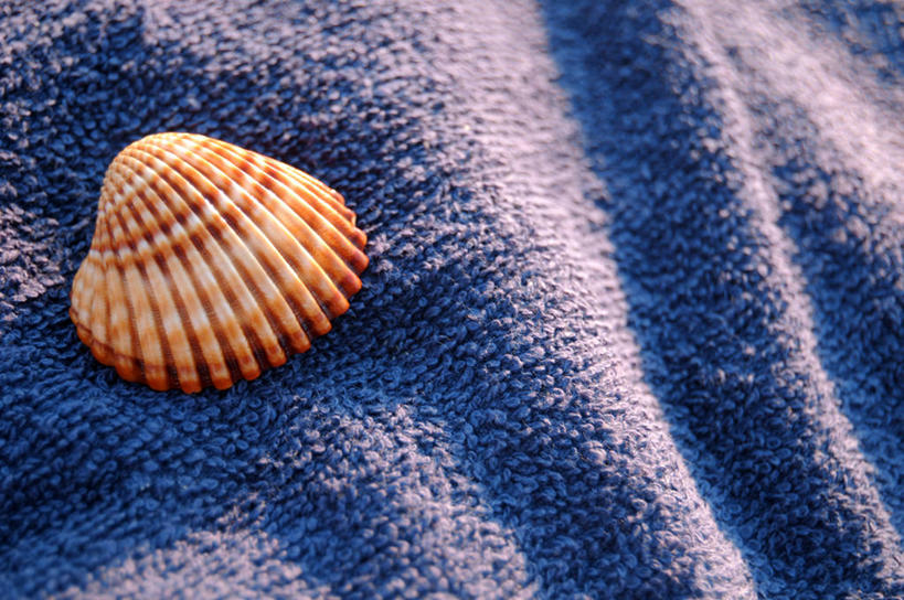 无人,横图,室外,特写,白天,度假,贝壳,日光,意大利,蓝色,毛巾,摄影,海滩,彩图,全画面,全框架,全帧,全画幅,毛圈布