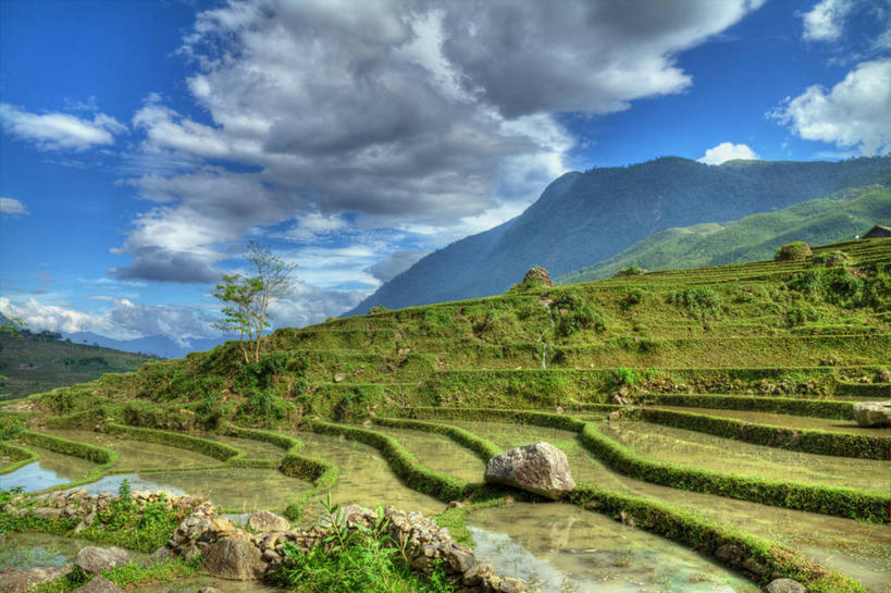 无人,横图,室外,白天,农业,美景,山,山脉,越南,亚洲,稻田,地形,景观,云,风景,天空,自然,景色,摄影,东南亚,生长,宁静,自然风光,越南社会主义共和国,彩图,老街省,沙坝县