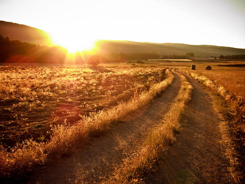 无人,横图,室外,镜头眩光,农业,日出,美景,日光,西班牙,景观,田地,干草,自然,景色,摄影,生长,宁静,早晨,自然风光,特鲁埃尔省,彩图,单行道