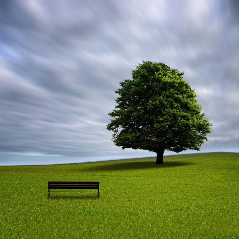 无人,方图,室外,白天,长椅,地平线,田地,云,辽阔,地面,草,自然,广阔,摄影,宁静,一望无际,延伸,天地相交,波多黎各,无边无际,一马平川,彩图,独处