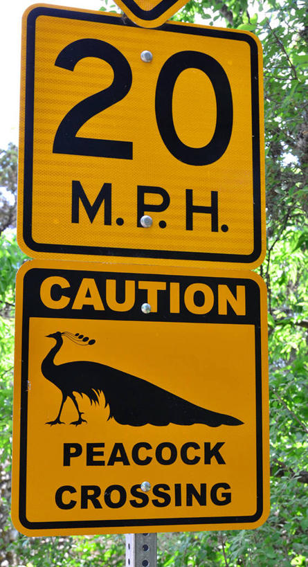 无人,竖图,室外,白天,通讯,美国,数字,布告,摄影,指导,英文字母,消息,交通标志,德克萨斯,彩图