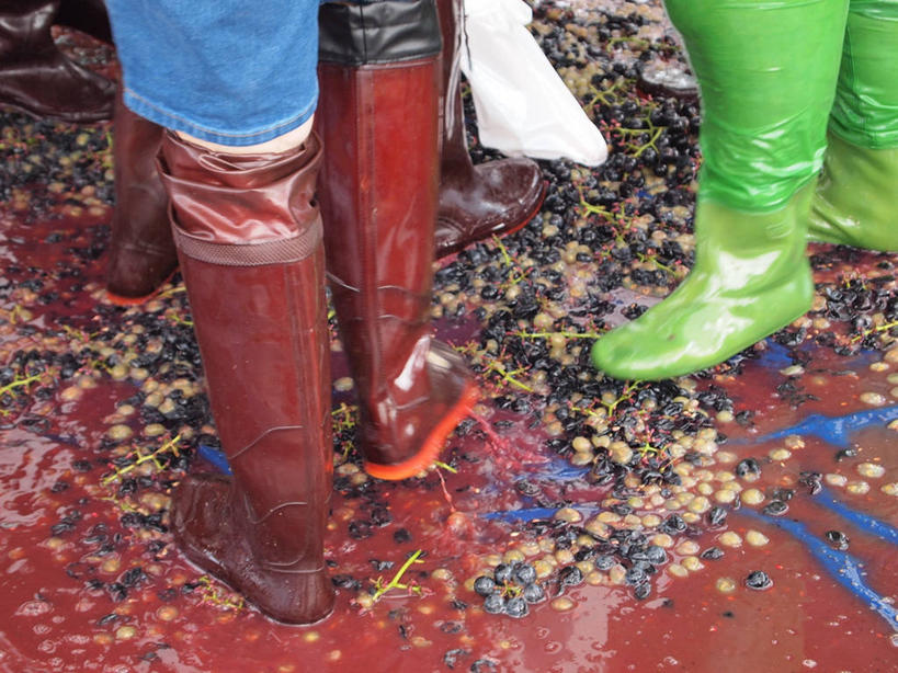 腿,三个人,站,横图,室内,白天,韩国,雨鞋,凌乱,摄影,四肢,彩图,红葡萄,传统节日