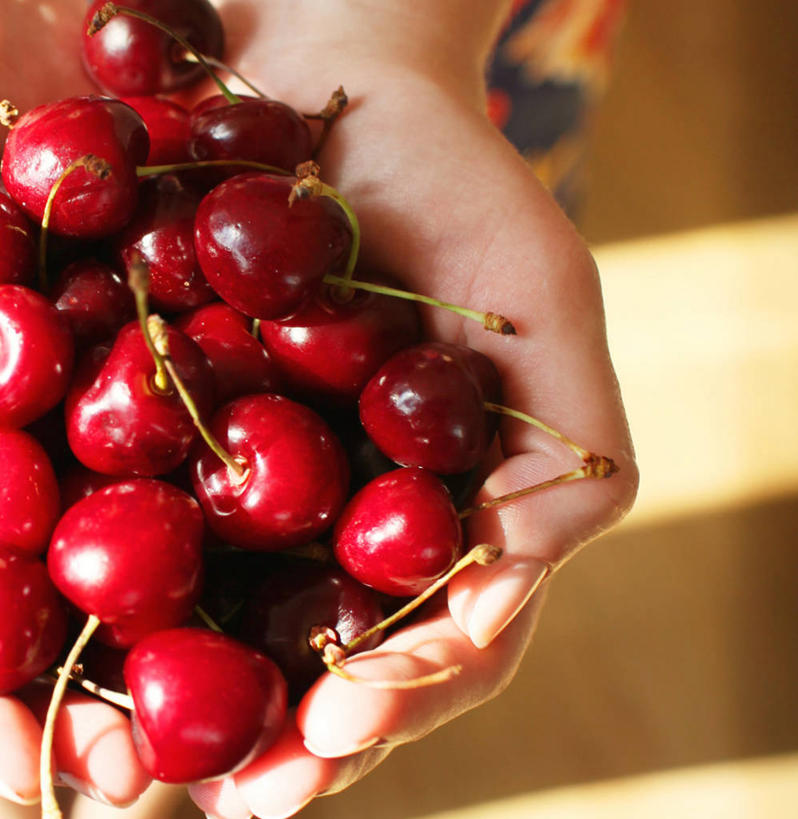 手,一个人,竖图,室内,特写,白天,樱桃,俄罗斯,许多,很多,拿着,饮食,红色,摄影,部分,清新,健康食物,彩图