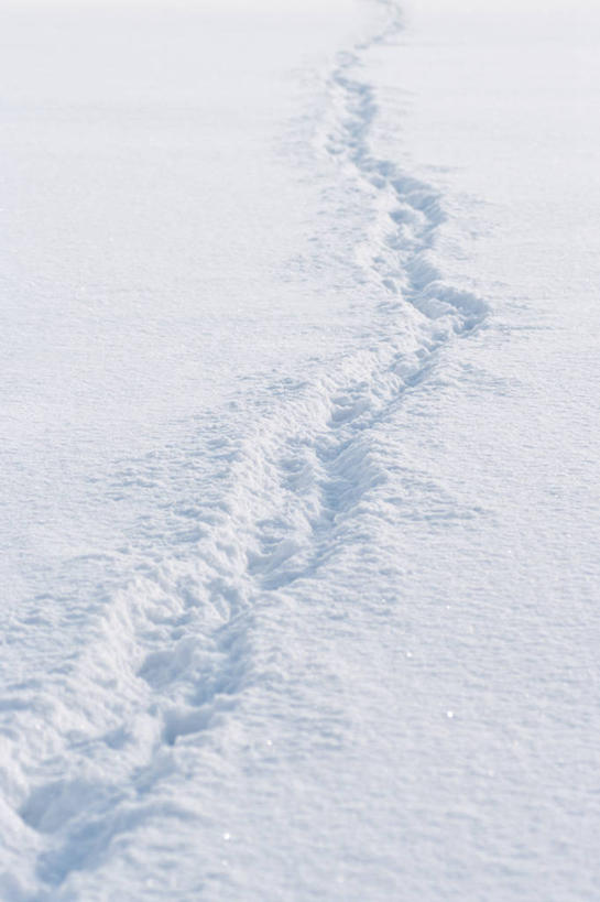 无人,竖图,室外,白天,雪,德国,冬天,慕尼黑,自然,寒冷,摄影,气象,气候,巴伐利亚,彩图,单行道,轮胎印