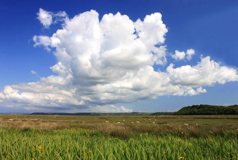 无人,横图,室外,白天,农业,美景,英国,地形,景观,田地,云,草,风景,天空,自然,景色,摄影,生长,宁静,沼泽,自然风光,威尔士,高尔半岛,彩图,斯旺西市