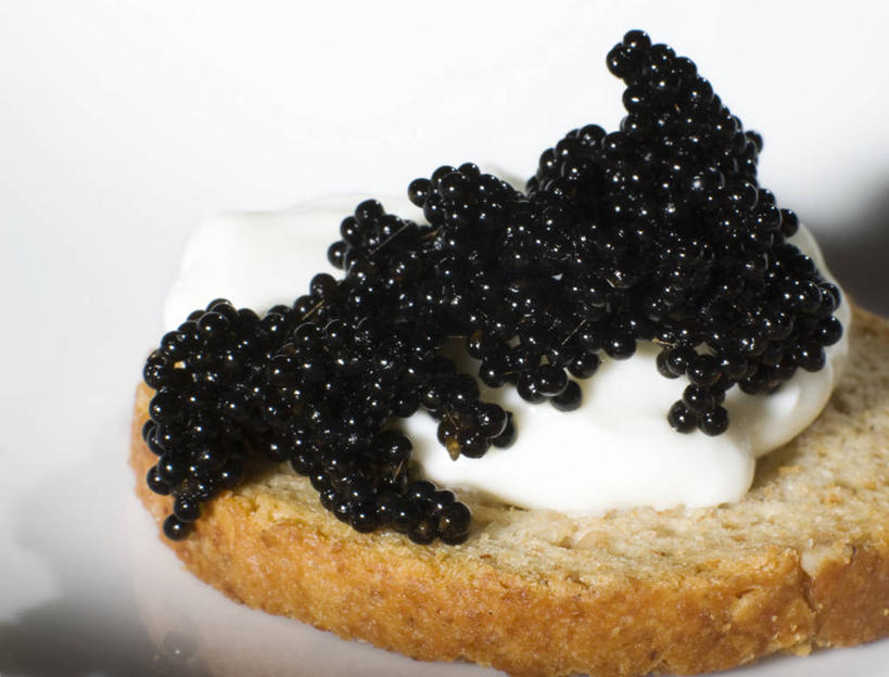 鱼子酱,无人,横图,室内,特写,美国,饮食,黑色,摄影,清新,健康食物,海产,彩图,装饰菜