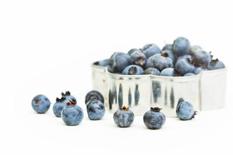 无人,横图,特写,白色背景,蓝莓,水果,加拿大,许多,不锈钢,丰富,很多,饮食,摄影,清新,健康食物,新斯科舍,彩图,影棚拍摄