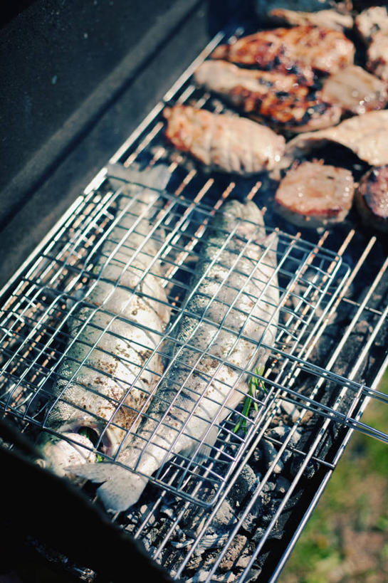 无人,竖图,俯视,室外,特写,白天,准备,牛排,食品,猪肉,饮食,摄影,清新,健康食物,烤肉架,捷克共和国,海产,彩图,高角度拍摄