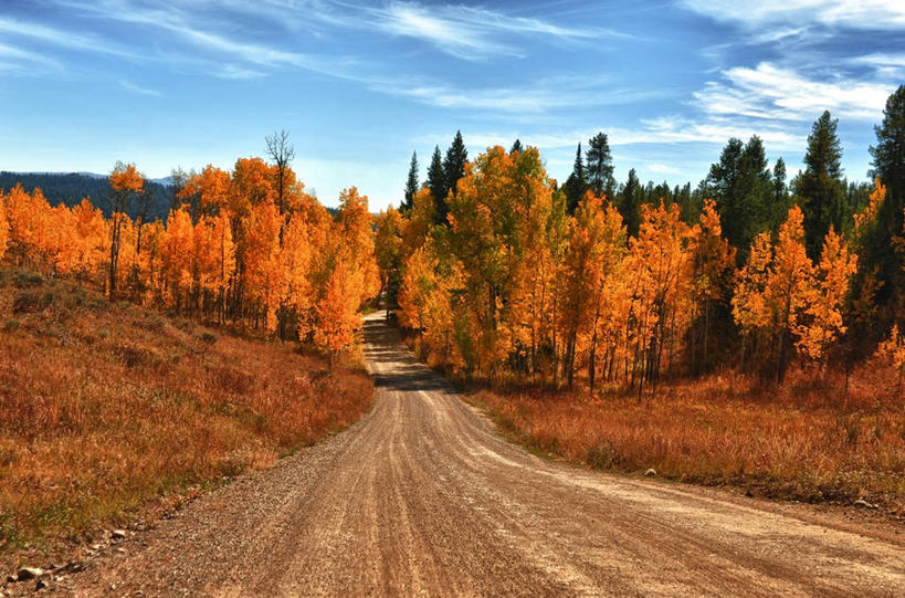 无人,横图,室外,白天,美景,美国,地形,景观,云,草,树,天空,自然,景色,摄影,宁静,自然风光,改变,怀俄明,大提顿国家公园,秋天,彩图