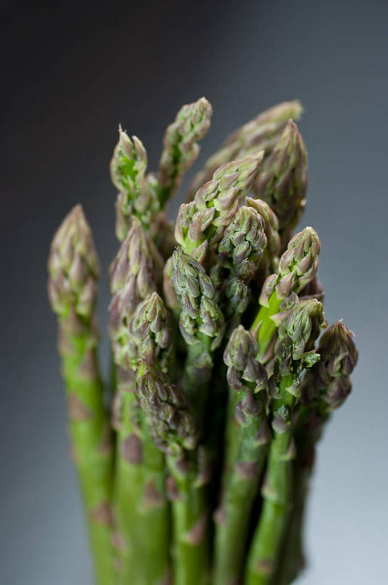 无人,竖图,特写,芦笋,蔬菜,德国,许多,灰色背景,很多,饮食,绿色,摄影,清新,健康食物,彩图,影棚拍摄