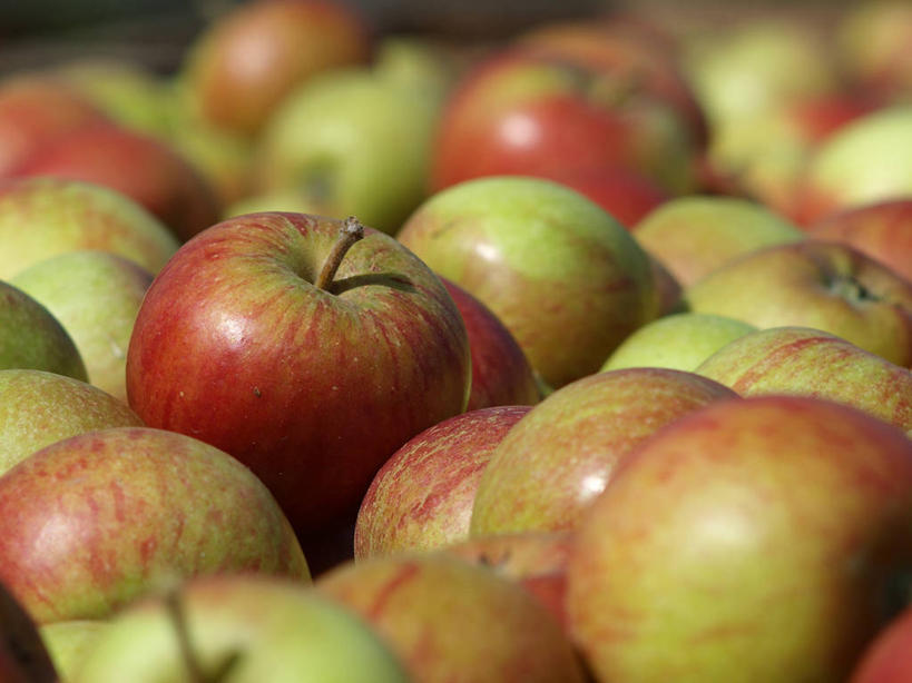 无人,横图,室外,特写,白天,苹果,水果,英国,许多,丰富,光,很多,饮食,摄影,清新,彩图