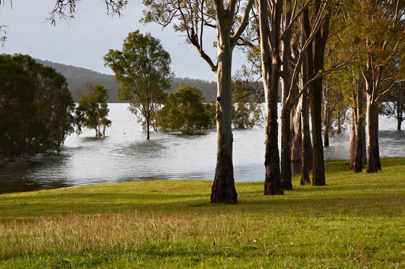 无人,公园,横图,室外,白天,湖,美景,澳大利亚,反射,景观,草,树,自然,景色,摄影,宁静,自然风光,昆士兰州,彩图
