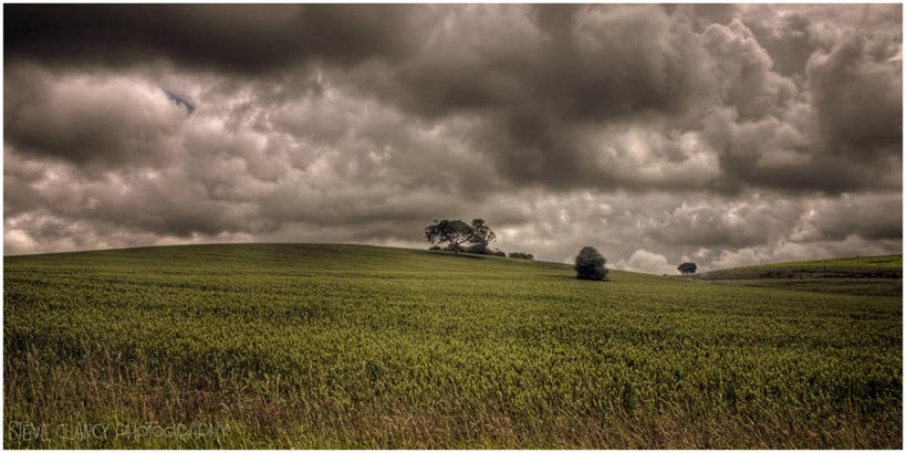 无人,横图,室外,白天,山,英国,地平线,地形,乌云,辽阔,地面,天气,草,树,自然,广阔,摄影,宁静,一望无际,延伸,天地相交,无边无际,一马平川,彩图