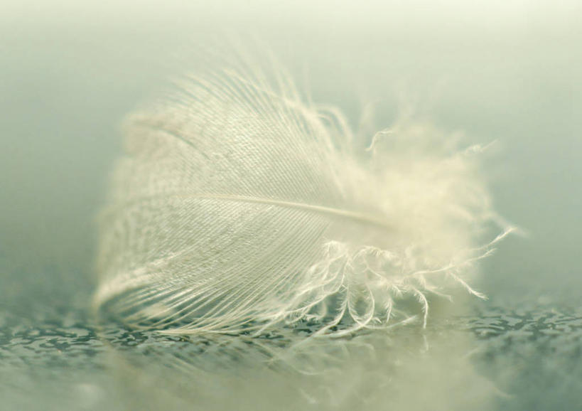 无人,横图,室内,特写,加拿大,反射,一个,白色,摄影,单个,宁静,柔和,魁北克,彩图