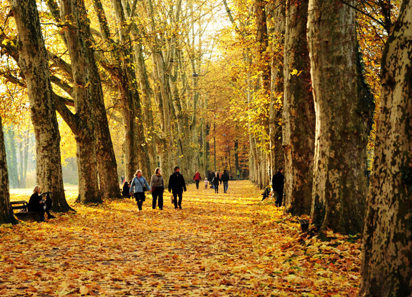 横图,室外,白天,椅子,德国,欧洲,长椅,许多人,休闲装,树,一群人,摄影,西欧,改变,德意志联邦共和国,内卡河,巴登.符腾堡,巴登.符腾堡州,巴符州,秋天,步行,彩图,林荫大道