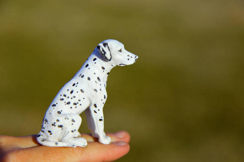 无人,横图,室外,特写,白天,游戏,玩具,日光,美国,玩,娱乐,休闲,手指,平衡,童年,益智,摄影,活动,部分,发泄,消遣,智力,宣泄,想法,玩耍,嬉戏,彩图