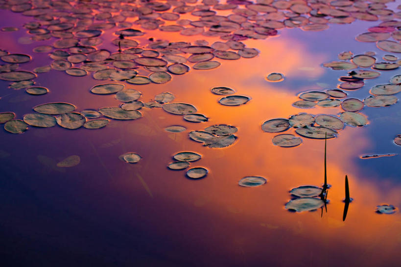 无人,横图,室外,白天,通讯,英国,文字,公共交通,布告,运输,摄影,指导,英文字母,干的,万里无云,彩图,公共汽车站