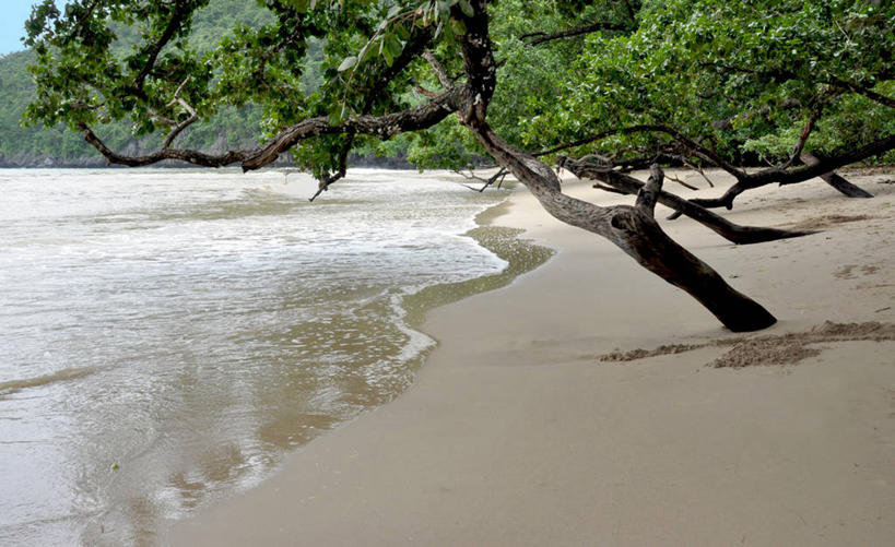 无人,横图,室外,白天,海洋,菲律宾,沙子,树,自然,摄影,宁静,巴拉望,海滩,彩图