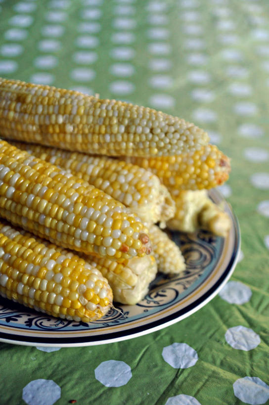 无人,竖图,室内,白天,玉米,美国,圆点,食品,饮食,桌布,盘子,摄影,堆,清新,健康食物,彩图