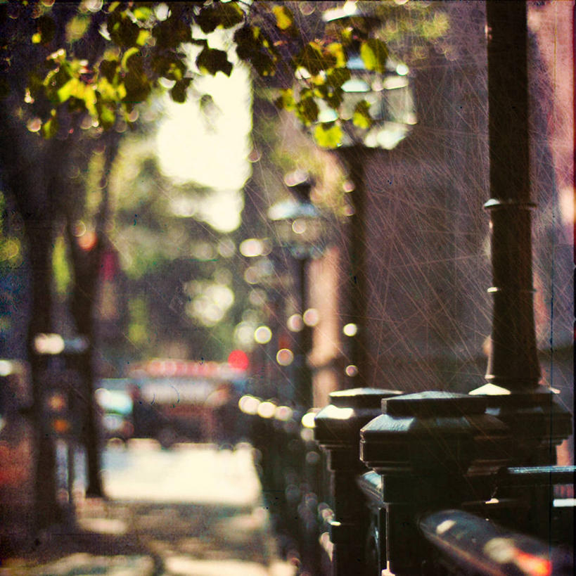 无人,方图,室外,白天,城市,街道,日光,纽约,美国,树,摄影,早晨,纽约州,彩图