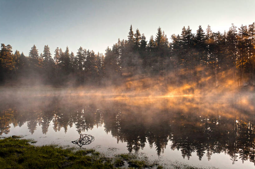 无人,横图,室外,日出,湖,保加利亚,反射,草,树,风景,天空,自然,摄影,宁静,早晨,彩图