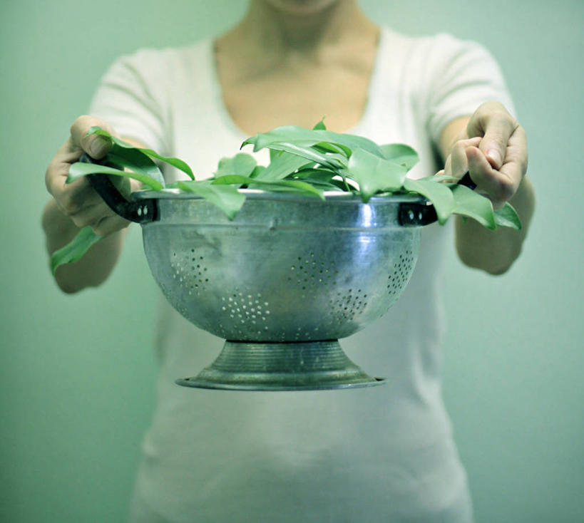 成年人,一个人,站,横图,特写,正面,叶子,希腊,仅一个女性,绿色背景,滤器,拿着,休闲装,摄影,清新,彩图,影棚拍摄