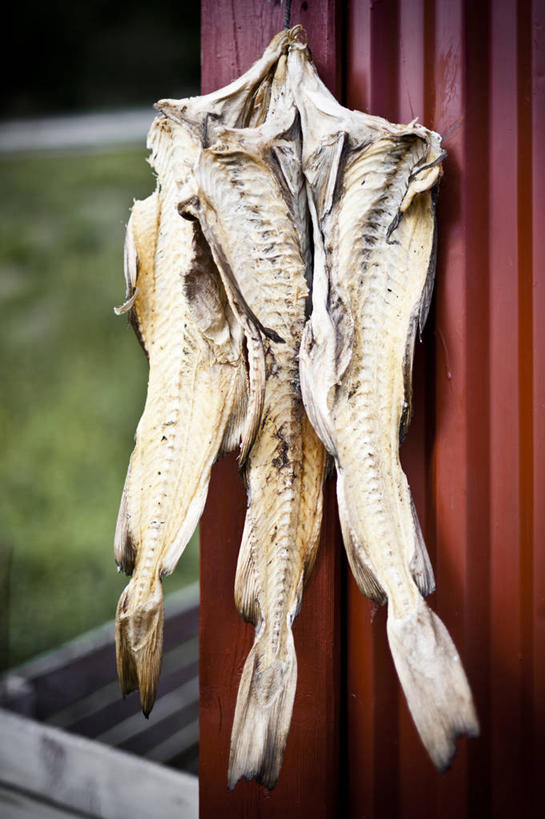 无人,竖图,室外,特写,白天,生食,鱼干,鱼类,饮食,三个,摄影,海产,彩图