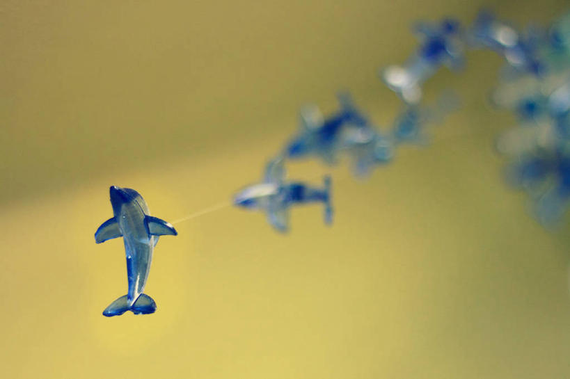 无人,横图,室内,特写,白天,海豚,风铃,西班牙,吊挂,悬挂,挂,蓝色,摄影,巴伦西亚省,美术工艺,彩图