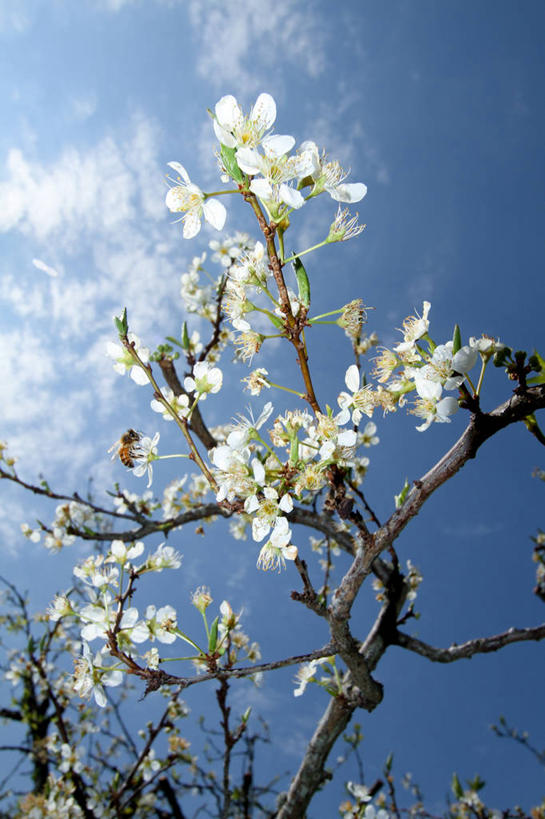 竖图,阿根廷,摄影