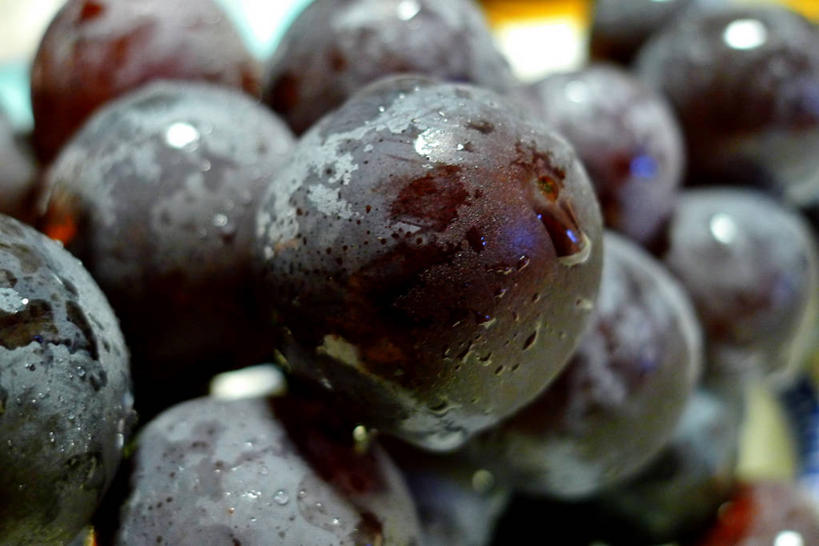 无人,横图,室外,特写,白天,葡萄,水果,日本,湿,水滴,饮食,摄影,清新,健康食物,彩图,红葡萄