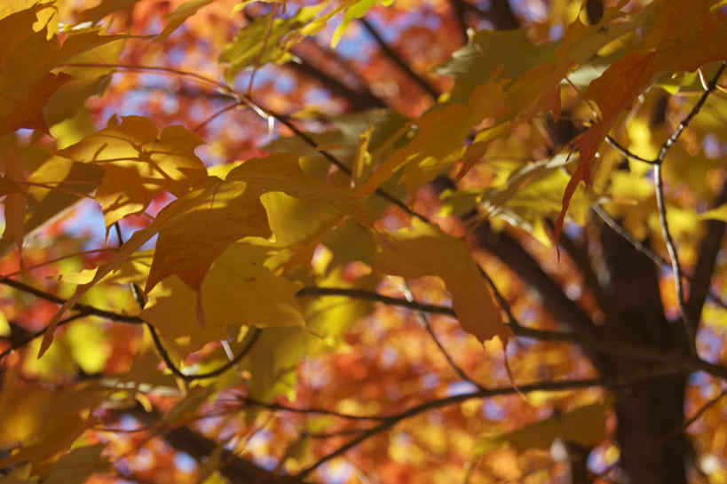 横图,美国,摄影