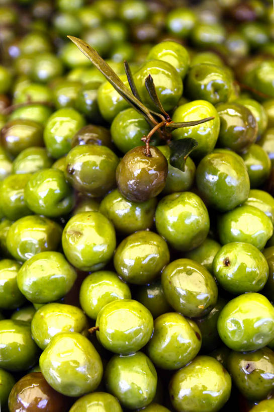 竖图,奥地利,摄影