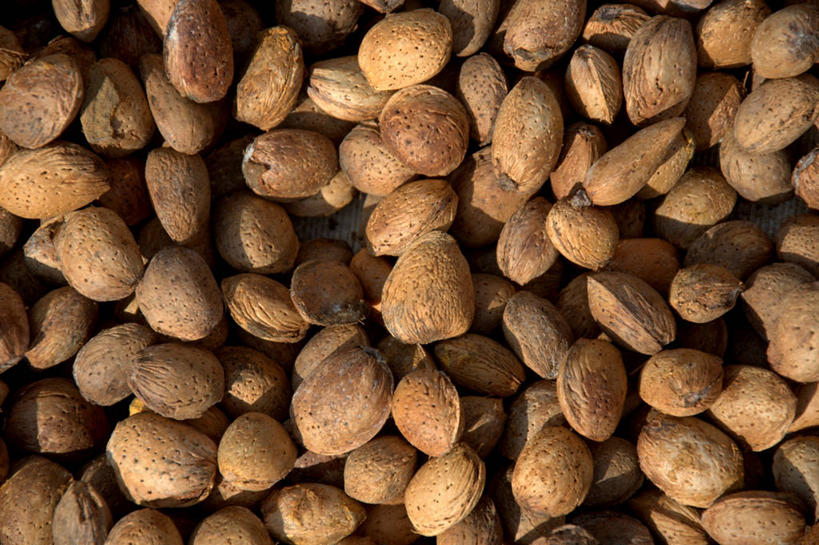 无人,横图,背景,杏仁,西班牙,许多,丰富,生食,食品,坚果,褐色,很多,饮食,摄影,有机食品,清新,健康食物,巴伦西亚省,彩图,全画面,全框架,全帧,全画幅,坚果壳