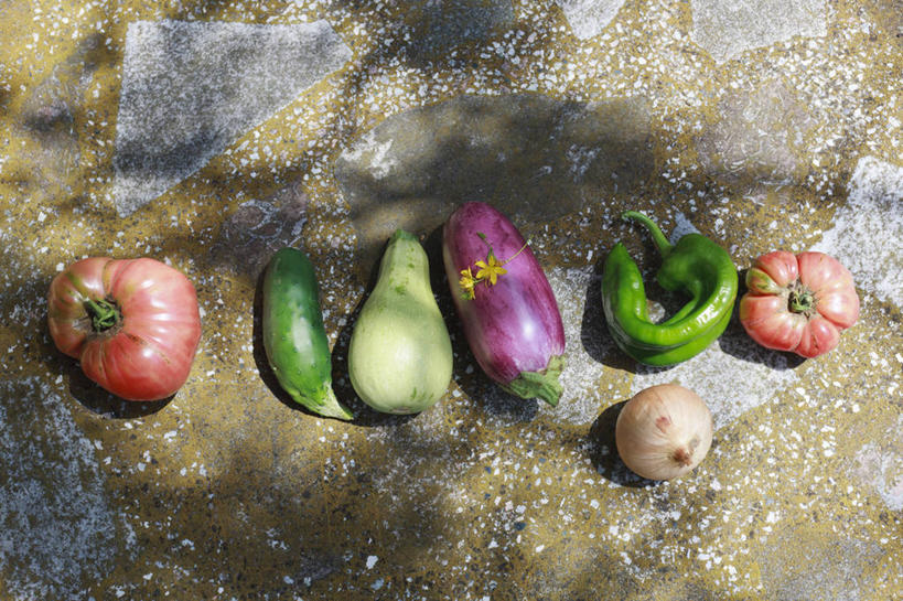 横图,西班牙,巴塞罗那,摄影