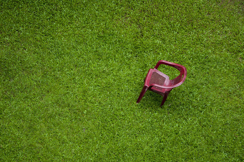 无人,横图,俯视,室外,白天,椅子,孟加拉国,亚洲,草,一个,红色,自然,摄影,生长,单个,南亚,孟加拉人民共和国,吉大港,彩图,高角度拍摄,独处