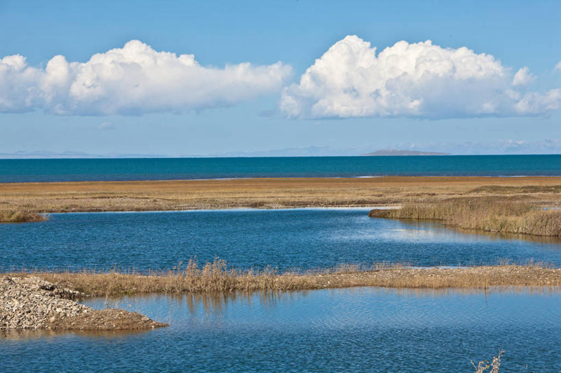 无人,横图,室外,白天,青海湖,水平线,云,草,自然,摄影,宁静,青海省,盐湖,彩图