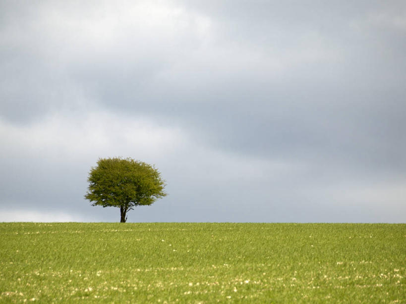 横图,英国,摄影