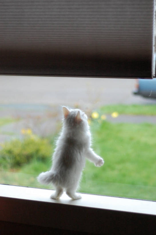 竖图,美国,摄影