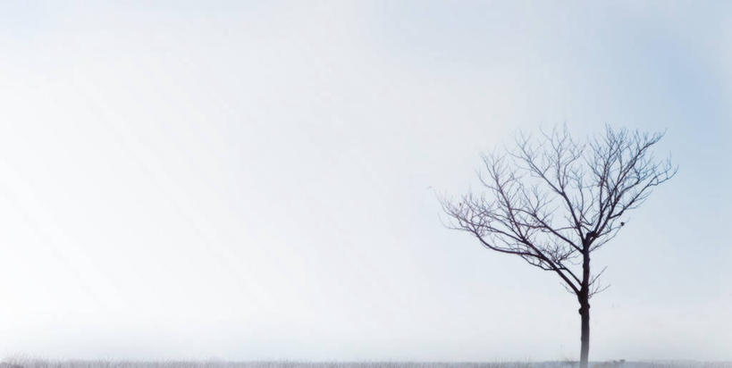 横图,西班牙,摄影,韦斯卡