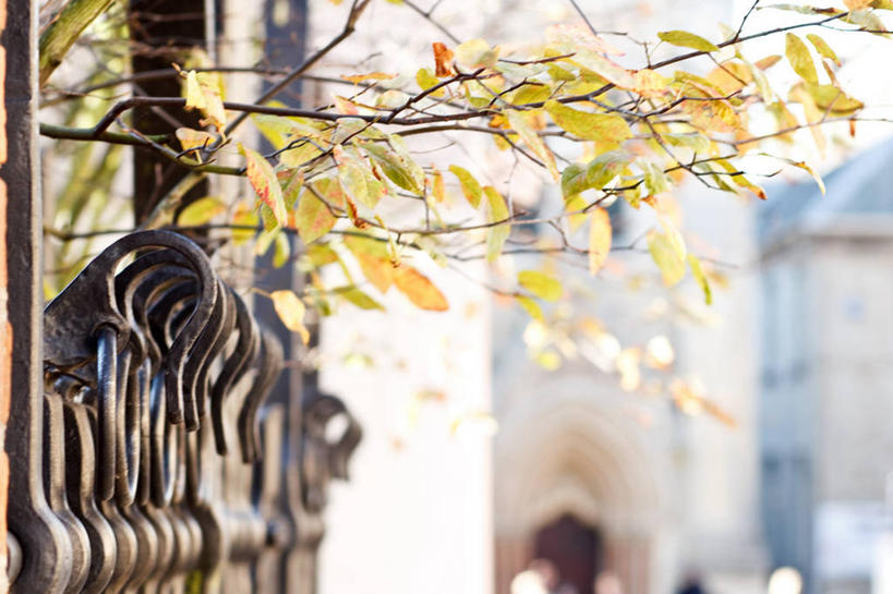 横图,英国,摄影,牛津郡