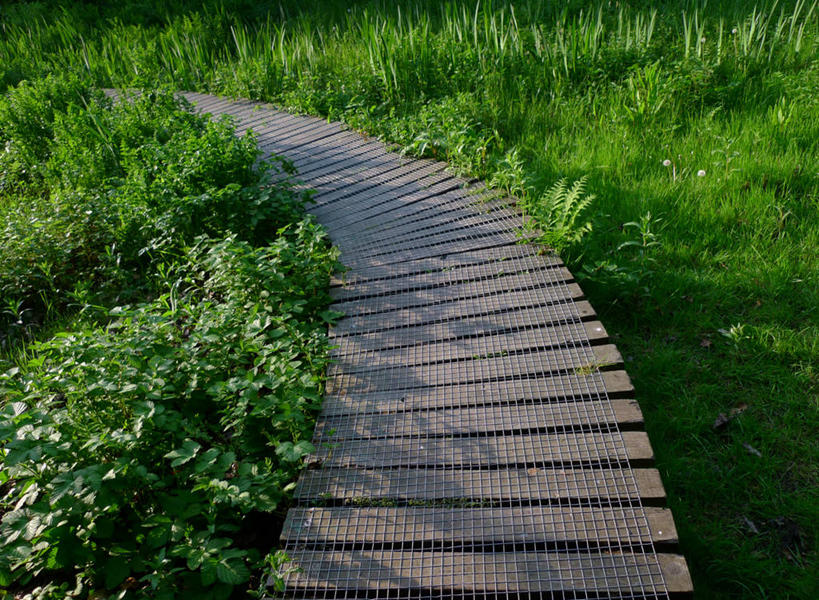 无人,横图,室外,白天,草地,英国,欧洲,木制,英格兰,草,绿色,自然,摄影,西欧,大不列颠,多塞特郡,大不列颠及北爱尔兰联合王国,大不列颠及爱尔兰联合王国,英吉利,多塞特,伯恩茅斯,彩图,行政区,西南英格兰,大不列颠王国,大英帝国,联合王国,日不落帝国