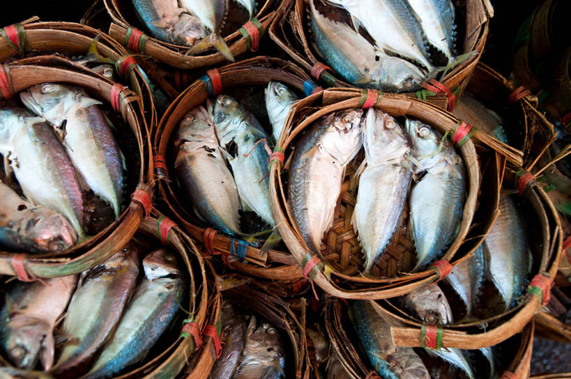 无人,横图,俯视,室外,白天,渔业,曼谷,泰国,许多,丰富,篮子,市场,首都,很多,鱼类,饮食,大城,零售,摄影,清新,海产,彩图,高角度拍摄,鱼市