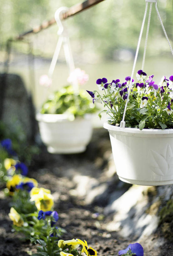 无人,竖图,室外,白天,花盆,吊挂,悬挂,园艺,挂,花,摄影,生长,脆弱,清新,彩图