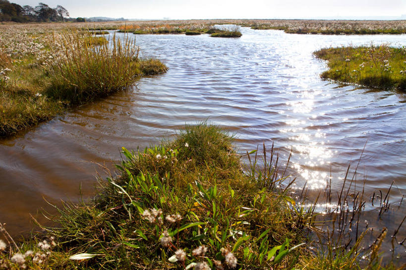 无人,横图,室外,白天,水,英国,反射,草,天空,自然,摄影,宁静,柴郡,彩图